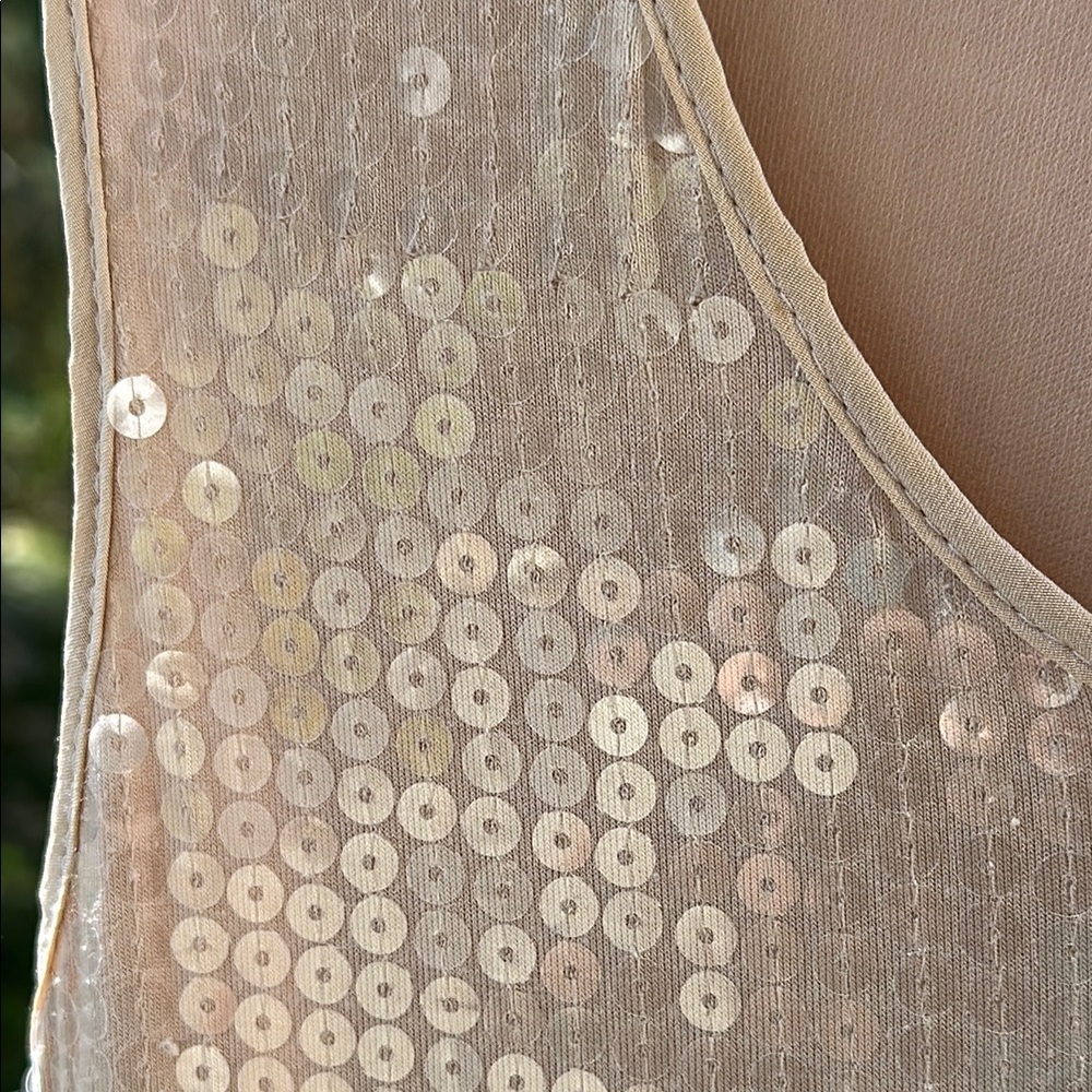 Robert Rodriguez Sequin Dress - Picture 3 of 6